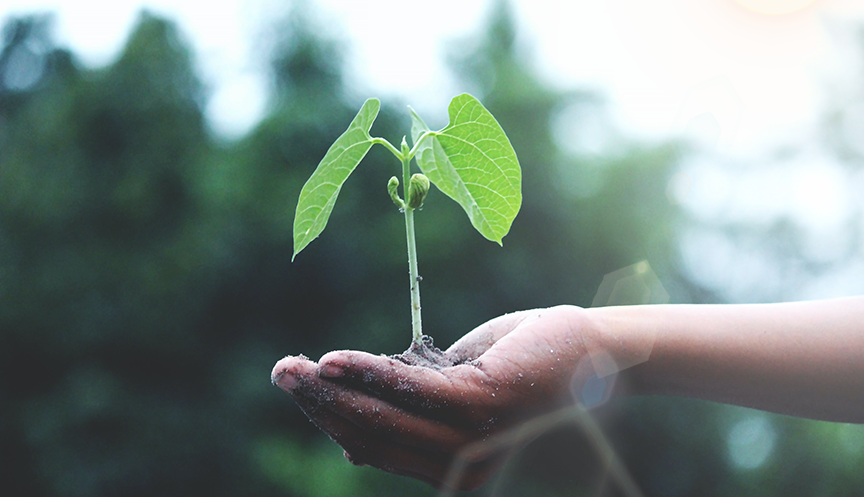 hjc888�ƽ�ǡ�(�й���)�ٷ���վ